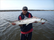 Pro-Team Member Chris Schoultz 