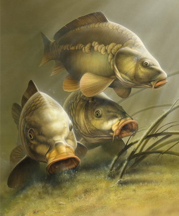 Carpe Diem - Craig Bertram Smith - Rapala