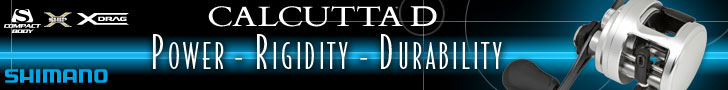 Shimano Culcutta D